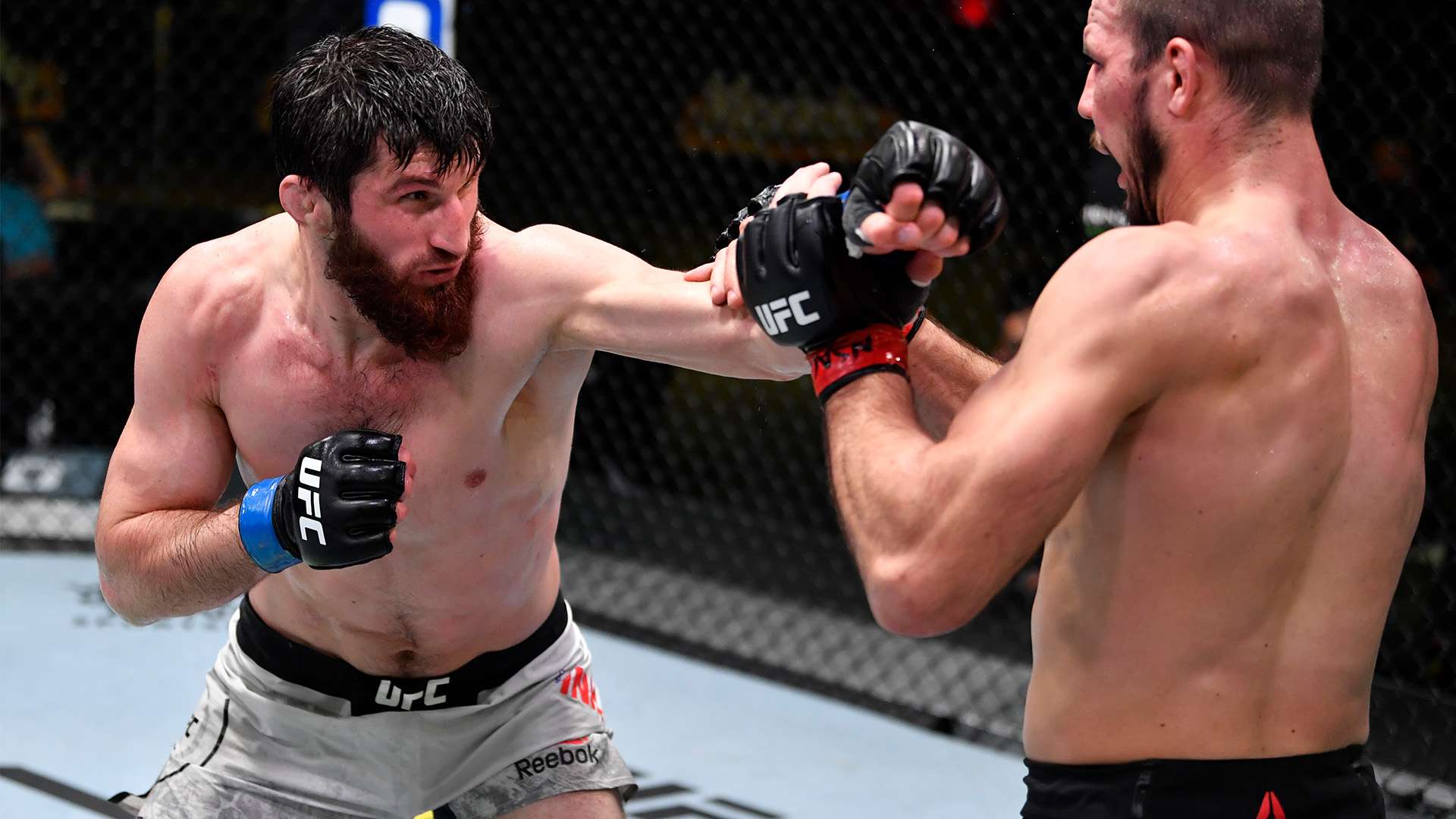 的年轻球员 的年轻球员